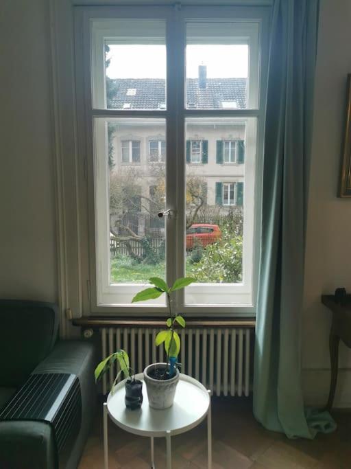 Beautiful Apartment *